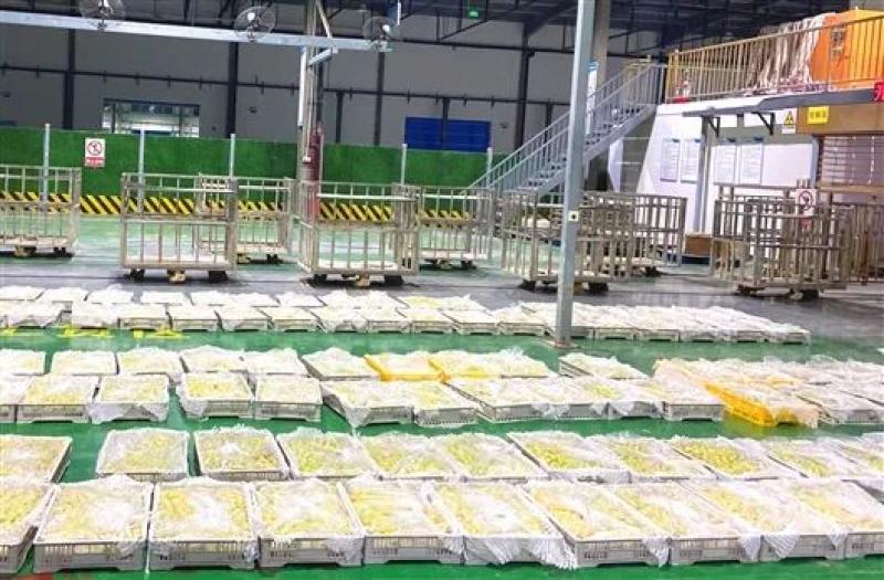 海洋应用在军工领域的新闻与资讯