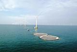 全球首个深远海风光同场漂浮式光伏项目在山东发出第一度电