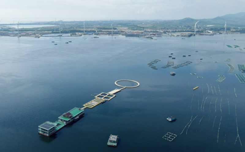 2023广东海洋牧场装备产业高质量发展研讨会在湛江举行