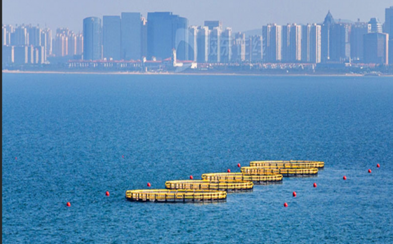 烟台海洋牧场示范区达20处，数量居全国地级市首位