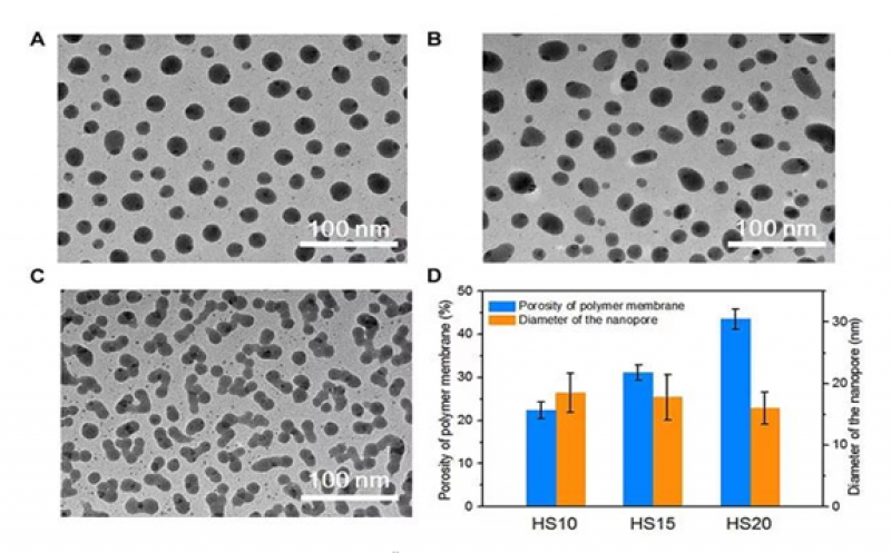 国内研究团队成功制备大面积3D Janus多孔膜