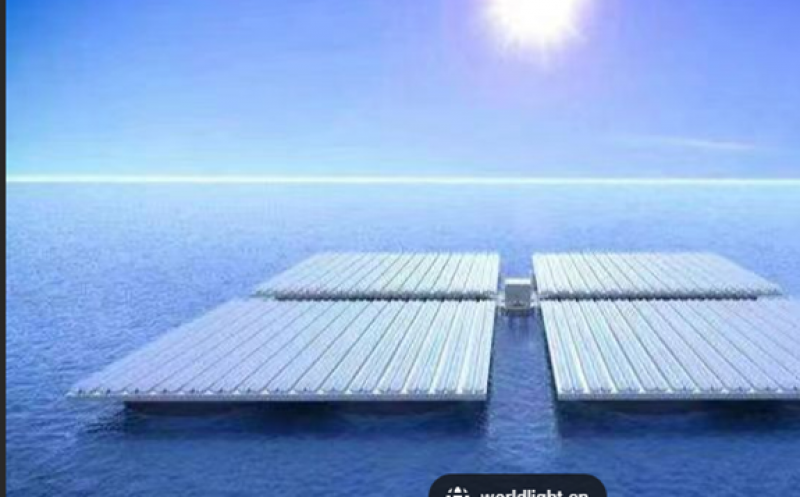 国家能源局新能源司副司长熊敏峰参会演讲