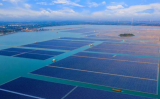 山东省海洋局关于推进海上光伏发电项目海域立体使用的通知