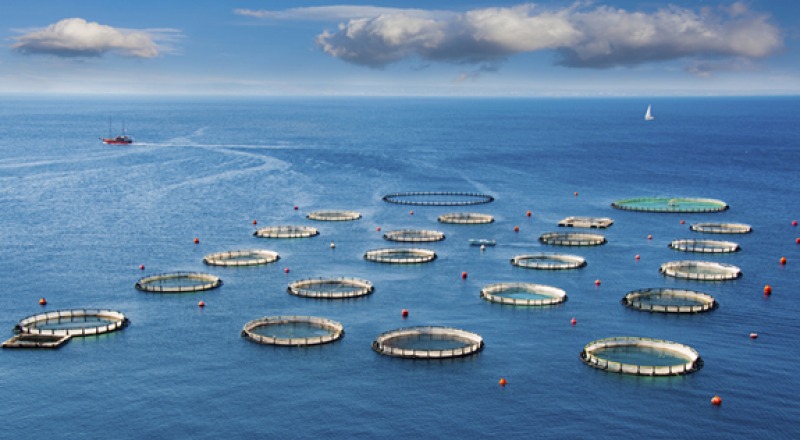 大连大力发展海洋经济，逐梦蓝海的澎湃激情