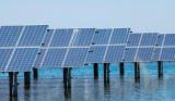 海上光伏风生水起 万华化学组团布局