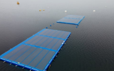 荷兰将在北海建柔性浮式光伏示范项目