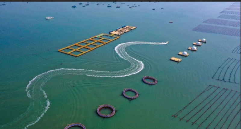 河北省首个海洋碳汇领域降碳产品方法学公布