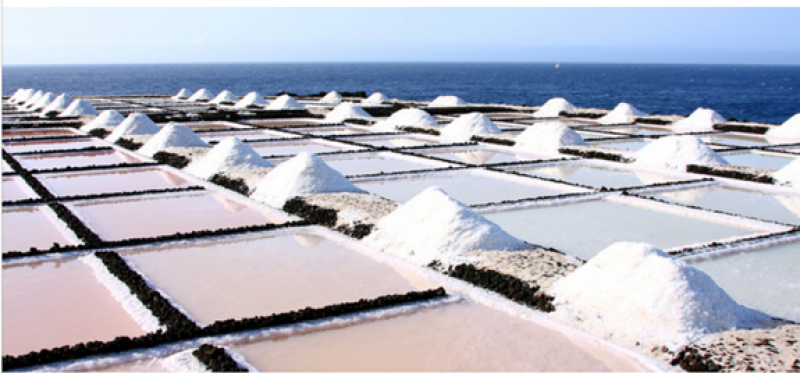 科普盐差能发电