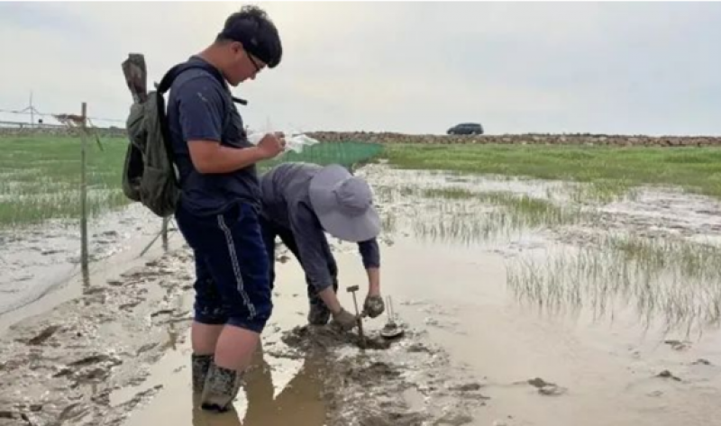 宁波首个蓝碳试点——杭州湾南岸海岸带碳汇调查、评估与价值核算项目通过专家验收