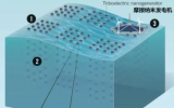 科学家研发蟒蛇形纳米发电机收集波浪能