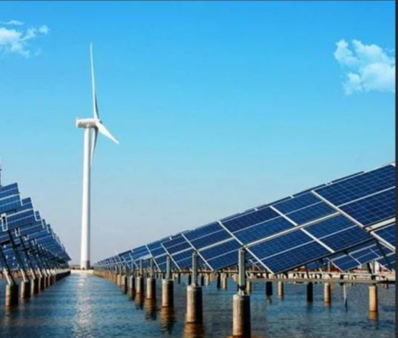 张世殊：光伏已迈入海洋场景应用 仍面临诸多挑战