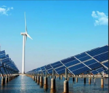 张世殊：光伏已迈入海洋场景应用 仍面临诸多挑战