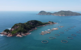 现代化海洋牧场筑牢南粤粮仓，助力实施百县千镇万村高质量发展工程