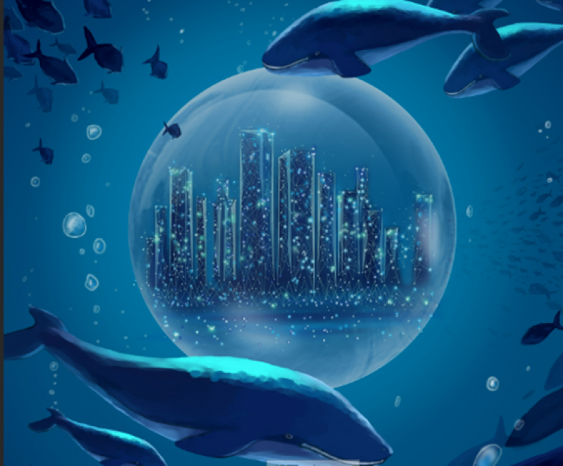 今年政府工作报告提出发展海洋经济，全国两会代表委员热议海洋强国建设