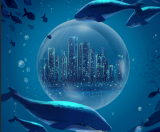 今年政府工作报告提出发展海洋经济，全国两会代表委员热议海洋强国建设