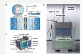  全新原理实现海水直接电解制氢入选2022年度中国科学十大进展