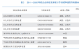 全球利用海洋吸收和封存二氧化碳都有哪些技术手段丨基于专利分析的海洋碳封存技术