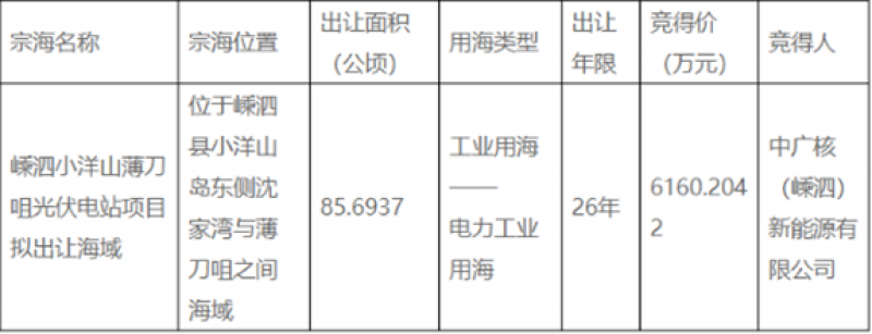 嵊泗小洋山薄刀咀光伏电站项目拟出让海域使用权出让成交公告 [2023-001]