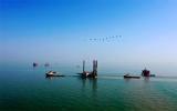 胜利油田：春“耕”渤海湾