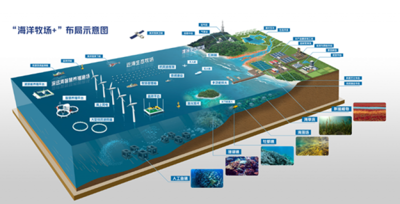 杨红生：《数字赋能促进现代海洋牧场建设》