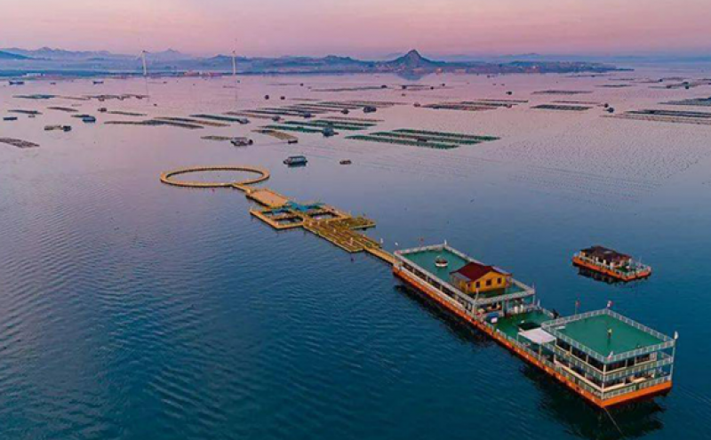 加强海洋空间规划支撑、加大用海政策创新和优化用海审批服务助力广东现代化海洋牧场建设