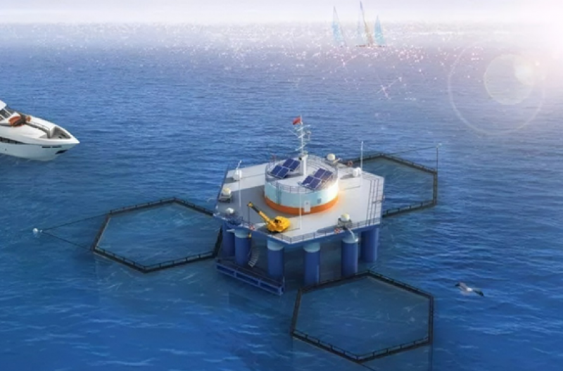 关于征求《广东省自然资源厅关于加强海洋资源要素保障 促进海洋牧场高质量发展的通知（征求意见稿）》 意见的公告