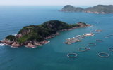 广东发展海洋经济的“减法”“加法”“乘法”