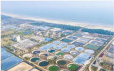 习近平总书记考察国家863计划项目海水养殖种子工程南方基地