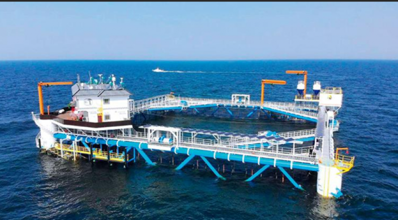 欧洲议会投票通过CBAM！碳边界调节机制下的海洋经济发展：影响与对策