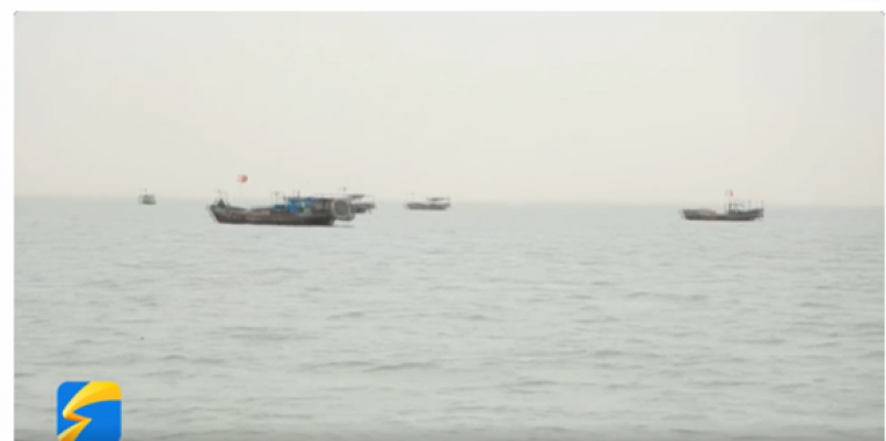 海洋牧场推动渤海高质量发展