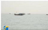海洋牧场推动渤海高质量发展