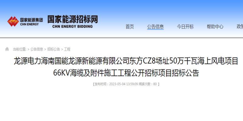 龙源电力海南国能龙源新能源有限公司东方CZ8场址50万千瓦海上风电项目66KV海缆及附件施工工程公开招标项目招标公告