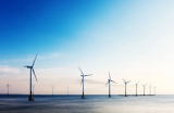 菲律宾能源部划分中央&地方政府海上风电项目审批职权范围
