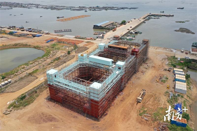 湛江“海洋牧场”迭代升级 为海洋牧场建设插上科技的翅膀