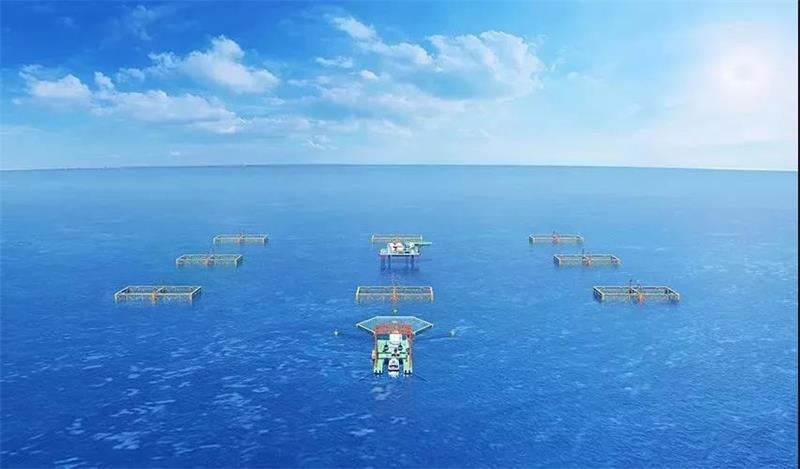 国家能源集团首个“风渔融合”远海养殖示范项目 助力推动“海上风电+”时代的到来
