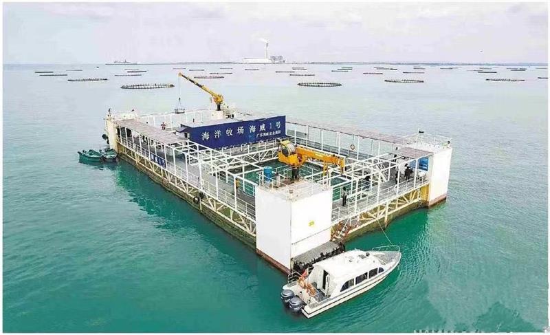 广东金融机构加大金融资源投入 使金融“活水”源源不断流向海洋牧场建设