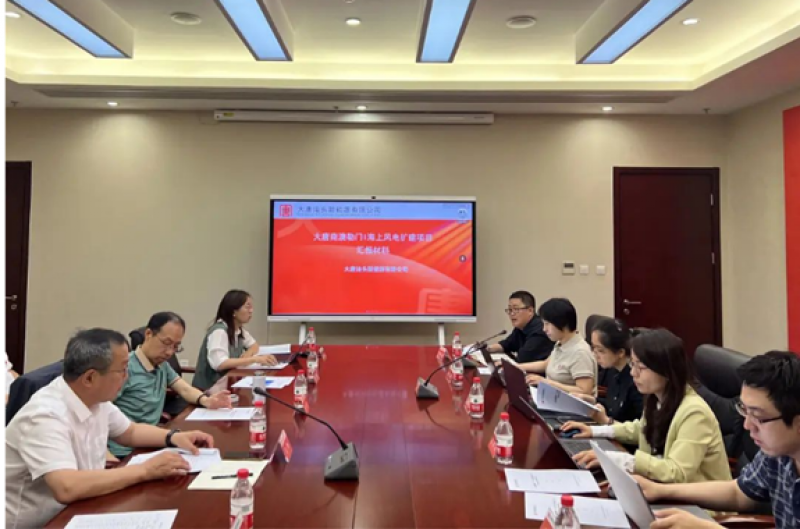 《大唐南澳勒门I海上风电扩建项目初步设计》审查会召开