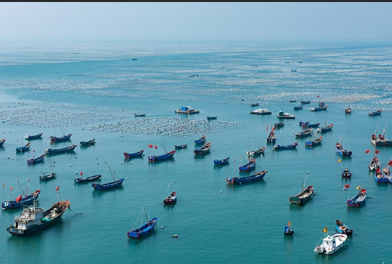 2023中国海洋经济论坛 （第一轮通知）