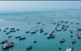 2023中国海洋经济论坛 （第一轮通知）