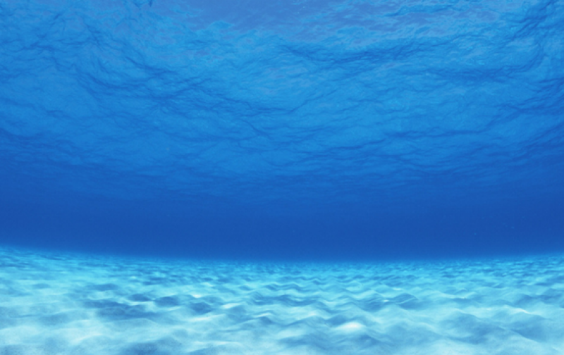 “海洋天然气水合物富集区碳泄漏探测、监测与评价关键技术及应用”项目荣获海洋工程科学技术特等奖