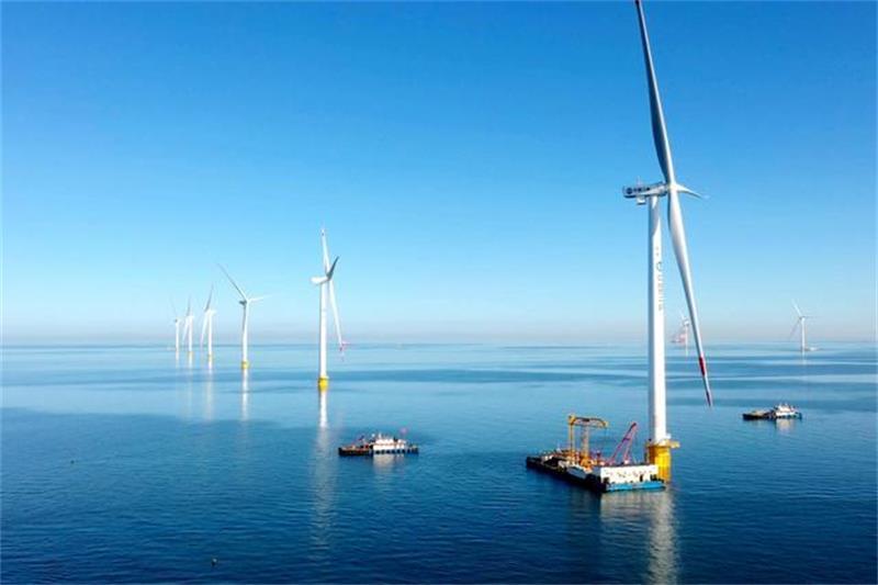 湛江市徐闻县委书记罗红霞：海洋蕴藏新潜力  风电产业、海洋牧场蓬勃发展