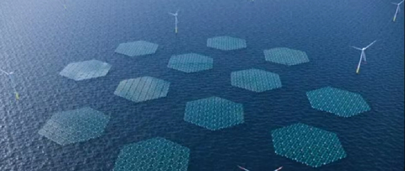 聚焦海上光伏领域！中集集光与万华化学、天合光能等多家企业达成合作