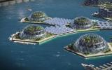 邓毛颖：建设现代海洋城市的三大策略