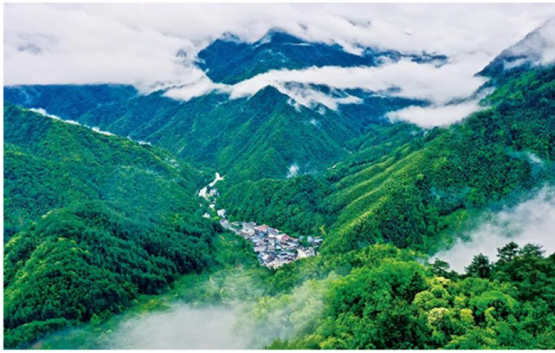 自然资源部部长王广华：加大海域资源市场化出让比例，推动建立低效用海退出机制