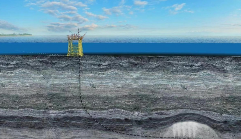 我国首个海上二氧化碳封存示范工程项目正式投用