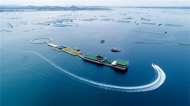 广东一连发布三份重磅文件 推动新时代高质量发展