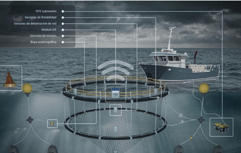 海洋牧场3.0阶段——以数字化和体系化为驱动力的涵盖淡水和海洋的全域型水域生态牧场