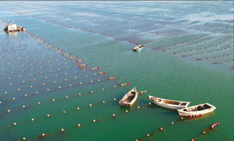 全国首幅渔业专题电子海图发布