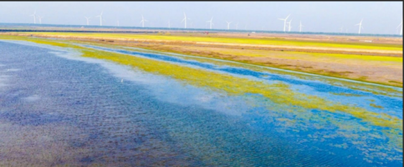 广东海洋经济总量已连续28年居全国首位