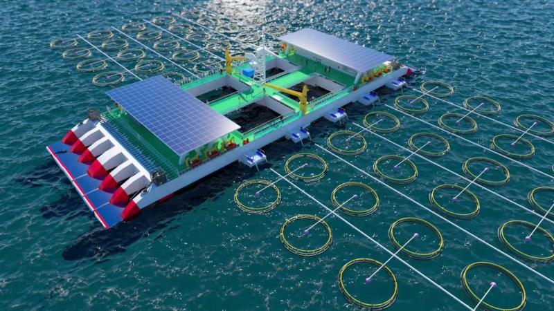 广东深远海养殖平台——“海威2号”正式投产